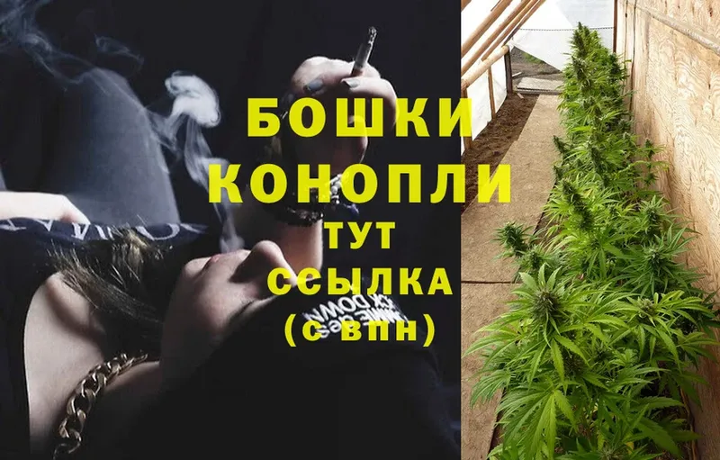 Бошки Шишки White Widow  что такое   Венёв 